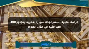 فرصة ذهبية: سعر لوحة سيارة مميزة يتجاوز 400 ألف جنيه في مزاد المرور